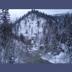 2013-02-02_Rappinschlucht_Lainlalm (128).jpg